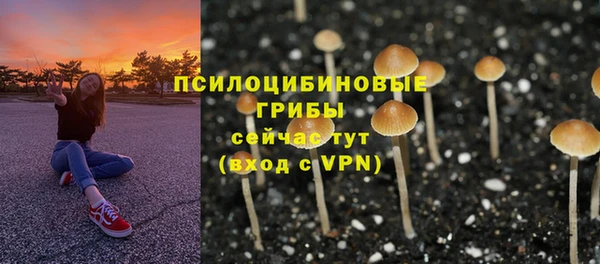 крисы Няндома