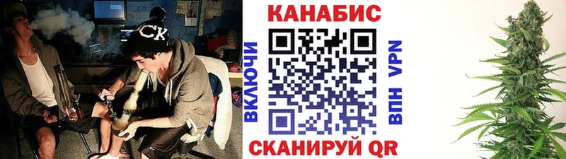 Бошки Шишки планчик Сокол
